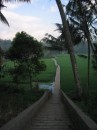Bali path * 480 x 640 * (58KB)